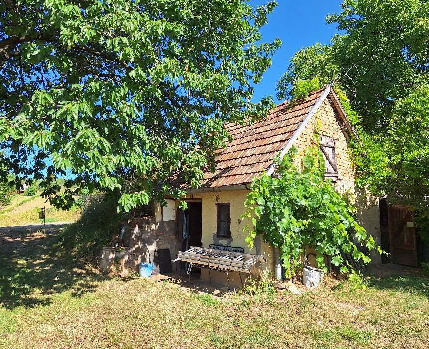 Pince gyümölcsös szőlő Reziben eladó - Weinberg mit Weinkeller in Rezi zu verkaufen