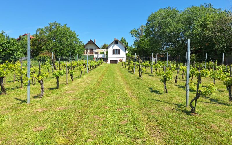 Eladó nyaraló Cserszegtomajon- Ferienhaus in Cserszegtomaj u verkaufen